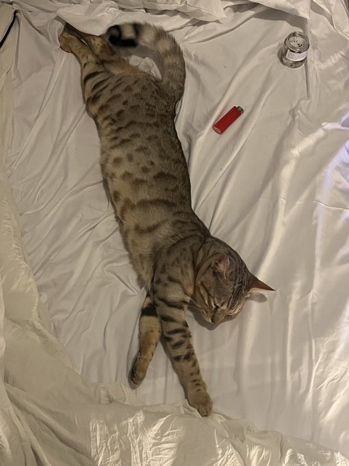 prince has grown so much omg https://t.co/bBak30FBAE<a href="/tag/happybirthdaynicki"class="tags"><span>#happybirthdaynicki</span></a>