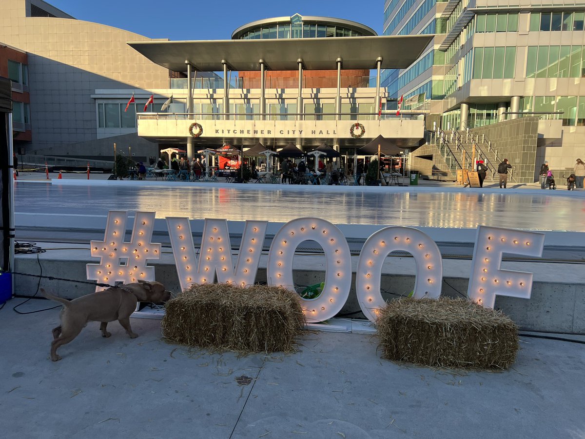 berryonline's tweet photo. Yesterday, I needed to learn what all the loud &amp; enthusiastic barking was about so I went to @CityKitchener City Hall &amp; checked out @dogfriendlykw’s first-ever Paw-Liday festival in @DTKitchener! It continues today from 11-4! Bring your canine or just yourself &amp; check it out! https://t.co/hKKoeHElzs