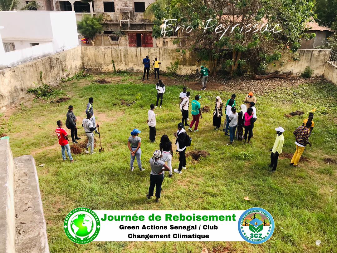 Green Actions Senegal 🌳 tweet media
