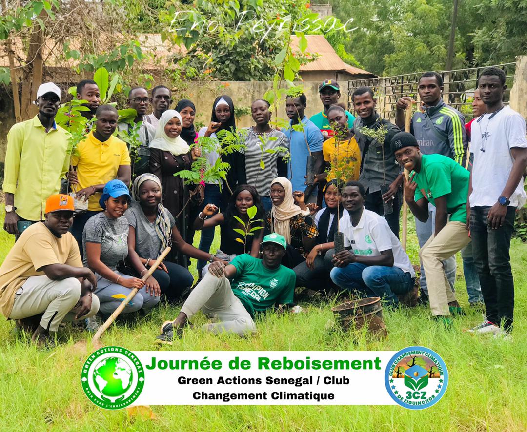 Green Actions Senegal 🌳 tweet media