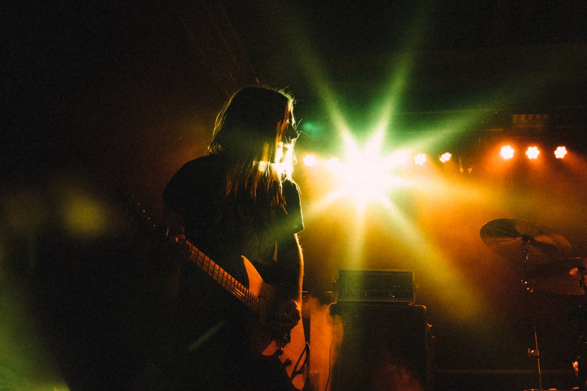 Temple Fang tweet media