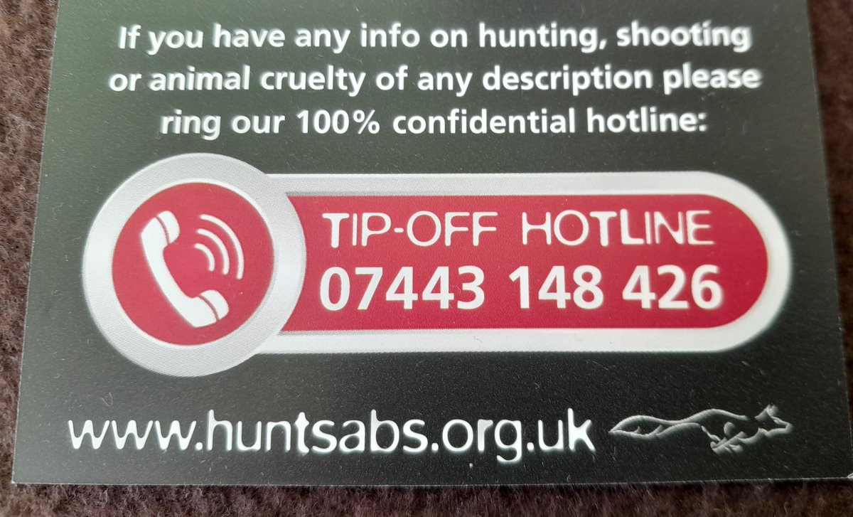 cliveswinsco's tweet photo. @PeterEgan6 @HuntSabs Very Well said Peter ; 
 Support our #BoldHSA folks - #HuntSaboteurs #SaveLives 🦊🐰
 #TrailHuntLies https://t.co/55hnkRZl11