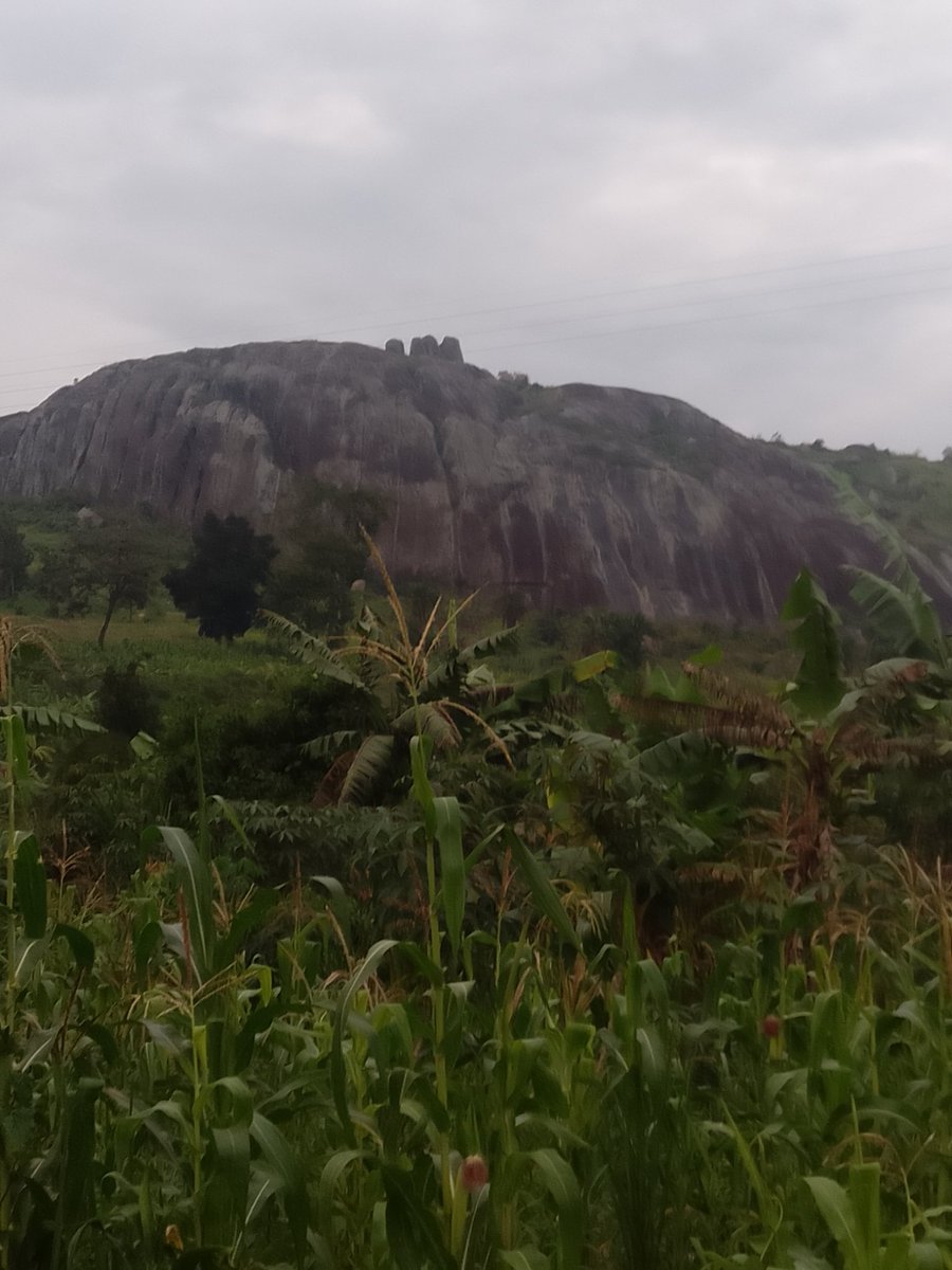 Visit Uganda for more