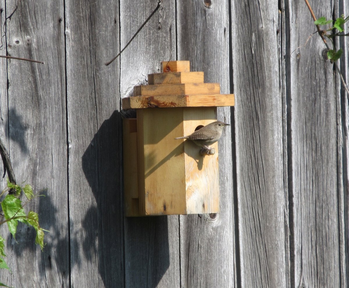 Cranmer Earth Design tweet media