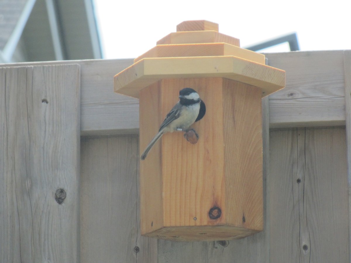 Cranmer Earth Design tweet media