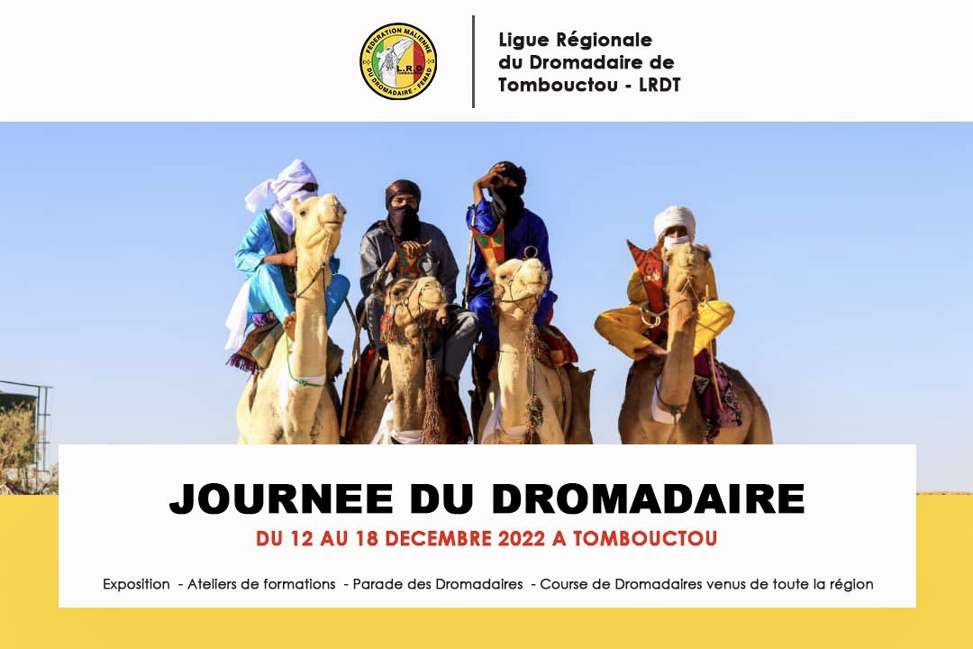 LigueDromadaTBT's tweet photo. Venez découvrir des temps extraordinaires du 12 au 18 Décembre 2022 à Tombouctou :
La #Journée du #Dromadaire, un événement annuel qui inspire rien qu’en observant les dromadaires.
#FEMAD
#LRDT
#FVE7 https://t.co/KrgVD2iF7T