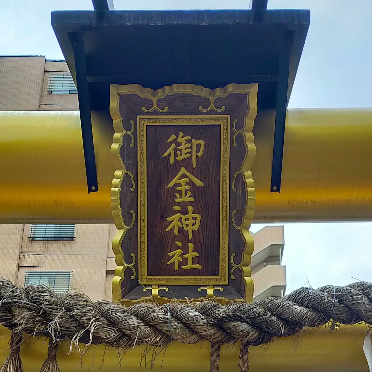 MrsYell's tweet photo. テレビで紹介された金運アップの神社に行って来ました 朝がゆにもチャレンジ ⁡⁡京都は⁡何度訪れても飽きまへんどすの～⁡ 寒くなってトイレも���くなって来ましたが自慢の吸水ショーツがあれば安心 #御金神社 #瓢亭別館  #朝がゆ #吸水ショーツ #尿もれ対策  #尿漏れ
https://t.co/ZC5PiGPuAk https://t.co/PKHIL5zEPA