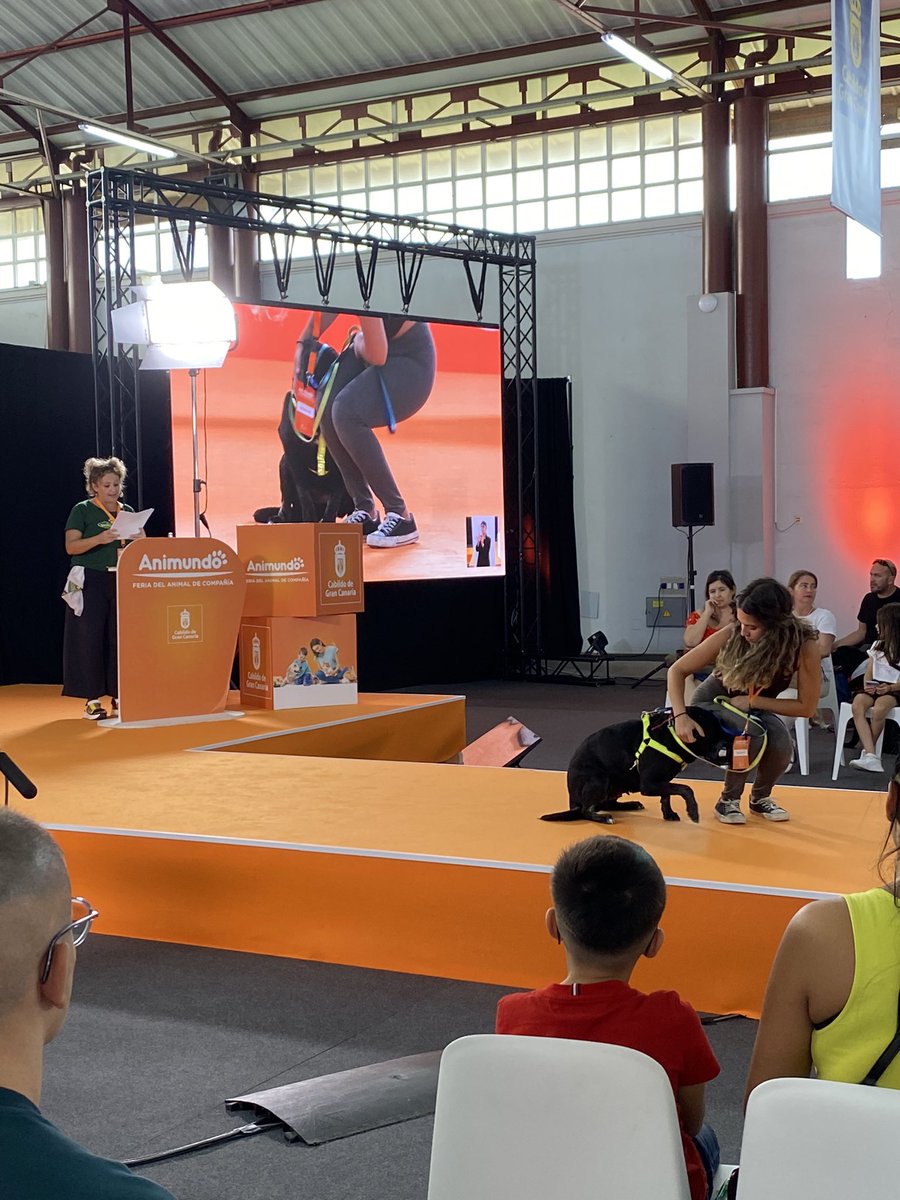 infecar's tweet image. Nuevos amigos de cuatro patas que esperan una familia que les brinde una nueva oportunidad. Nueva pasarela de adopción de #Animundo 🐶🐱, con Elisabet Espín Cotán. 👏👏