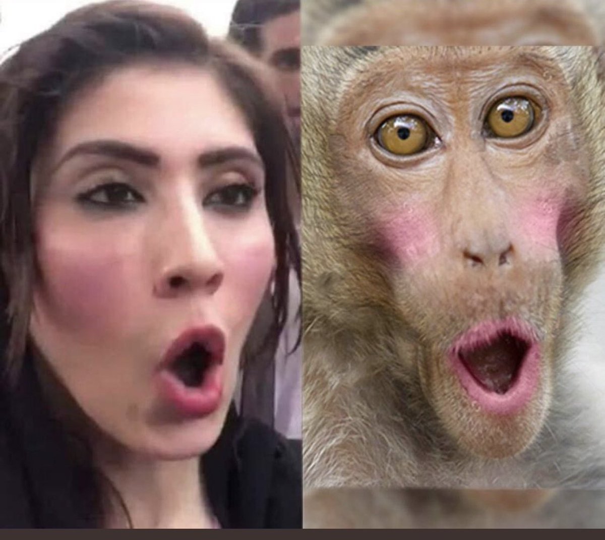 Samarjaveed1's tweet photo. @hinaparvezbutt https://t.co/E6rGfuhicv