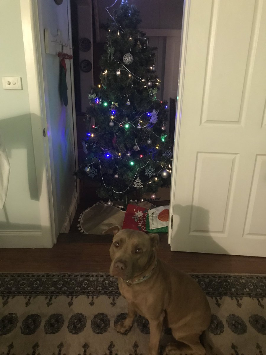 ThoughtsofOdin tweet media