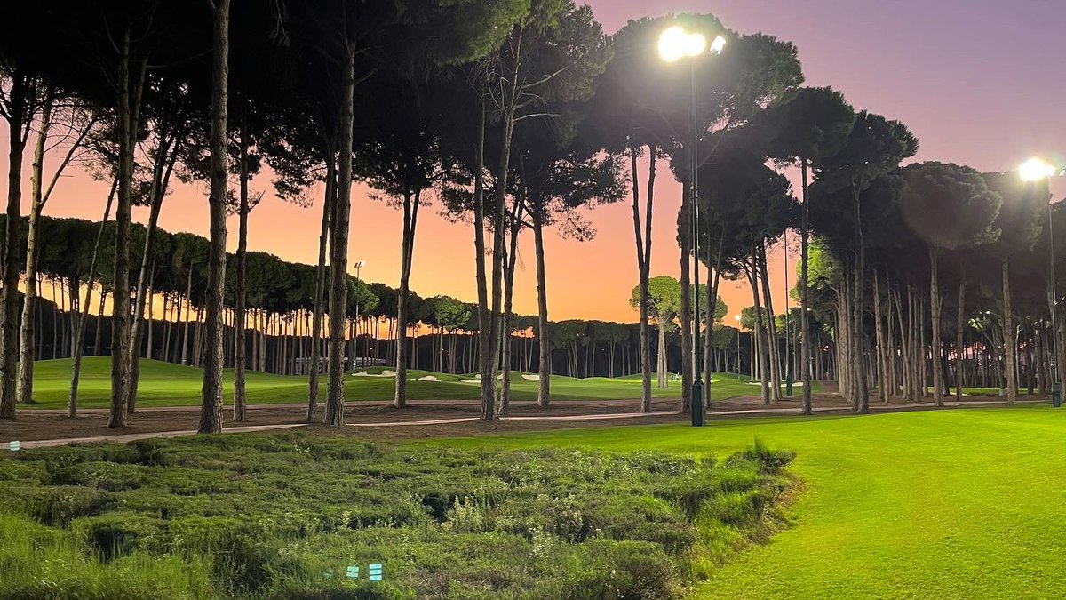 Muttley Golf Pro tweet media