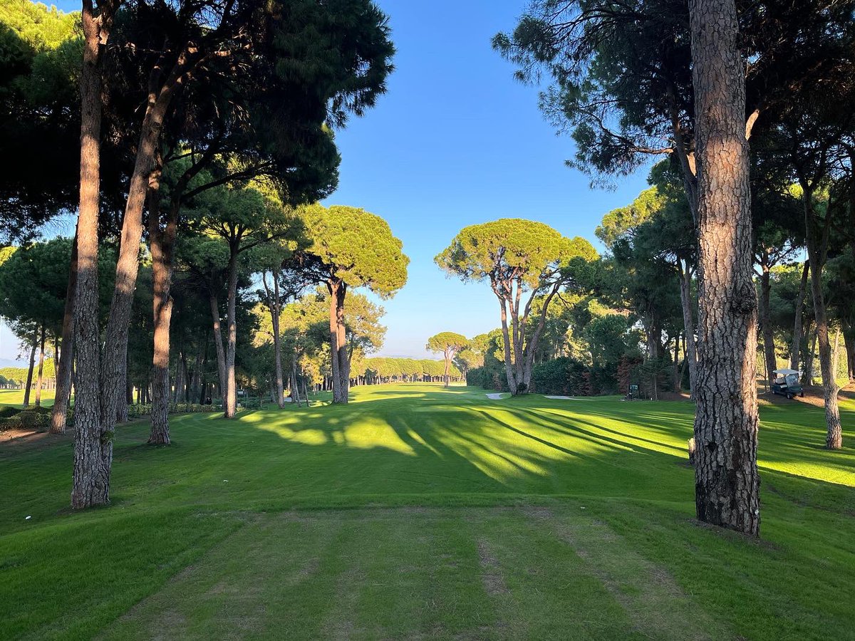 Muttley Golf Pro tweet media