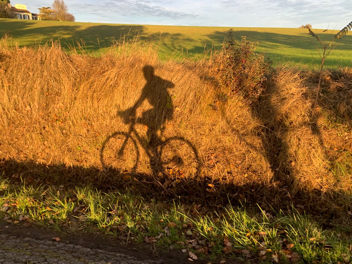 ДРАГГИ دراغان DRAGGI tweet media