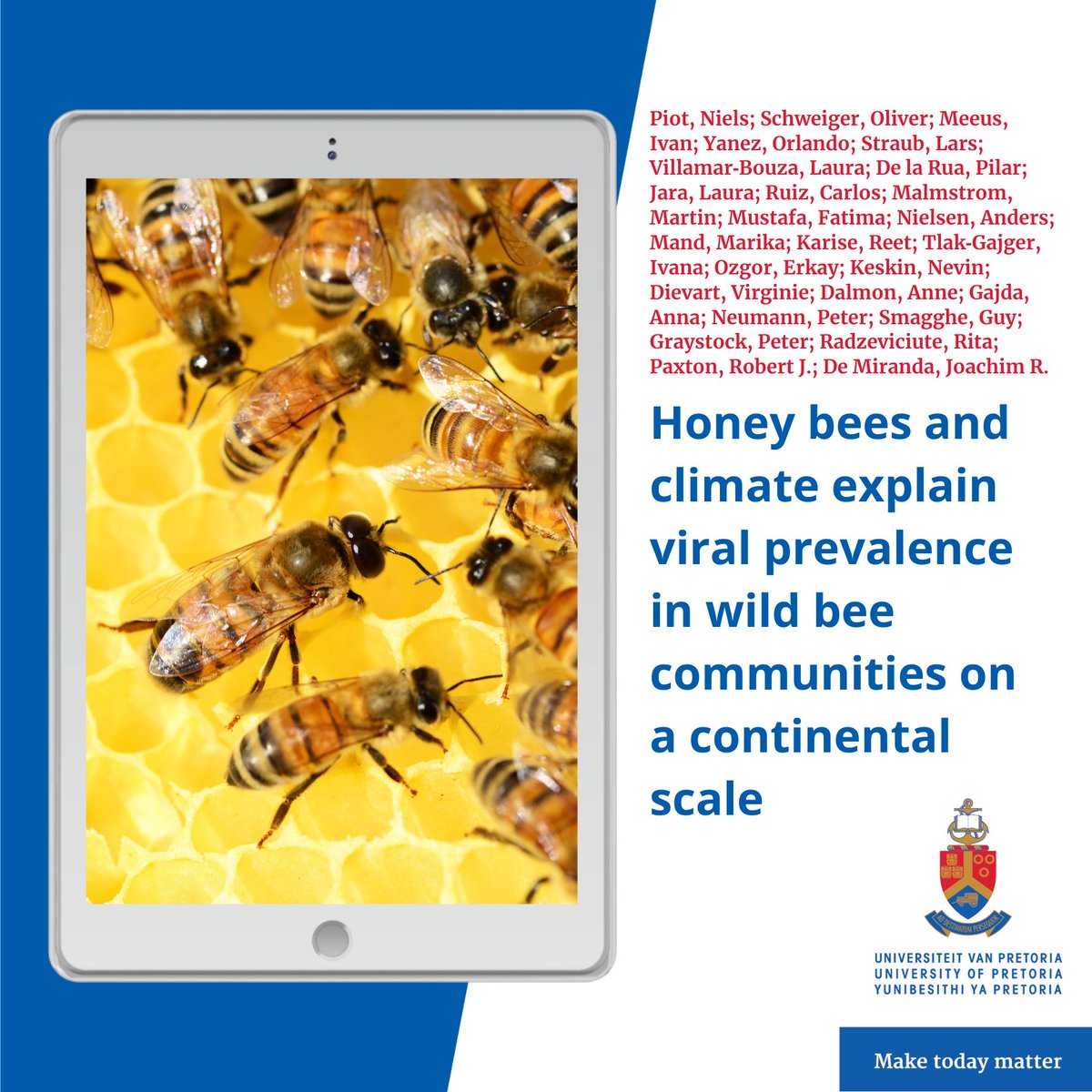 UPLibrary's tweet photo. #UPResearch #UPSpace 🐝 

Viruses are omnipresent, yet the knowledge on drivers of viral prevalence in wild host populations is often limited. 

Read more: https://t.co/HGEoTZ7dod https://t.co/6iEBBvsDR0