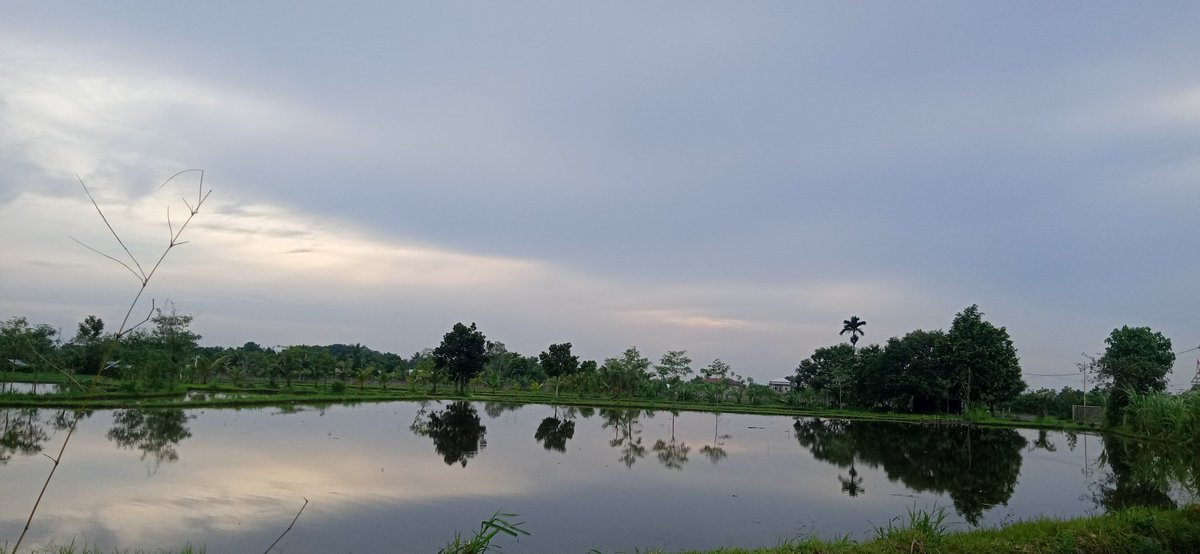 STE_ID's tweet photo. Keindahan di desa sari baye tumben nih... Pingin riview... https://t.co/8T7dzt37uA