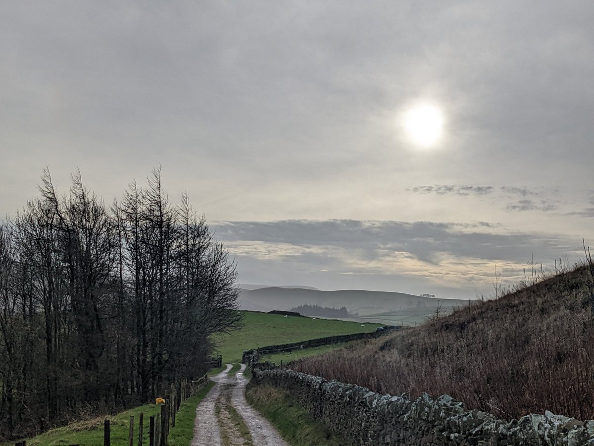 On the trail of the milky sun.