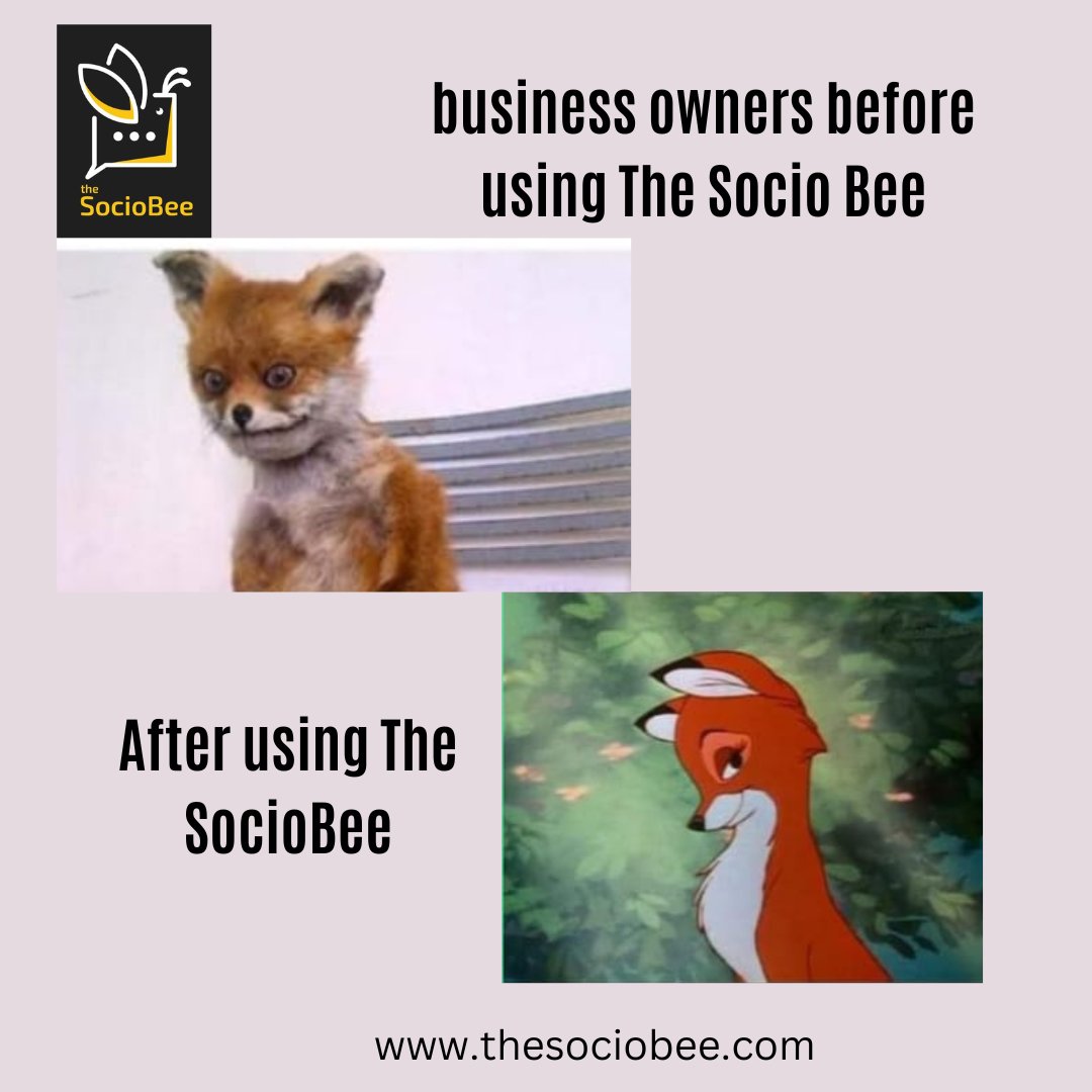 TheSocioBee's tweet image. Life is gooooood and buzzing when you are using The SocioBee.

#thesociobee #freesaas #startup #opportunity #socialmediamarketing #freetouse #smallbusiness #mediumbusiness #software