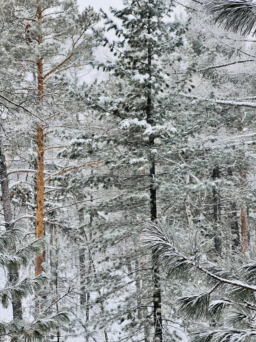 NomadicMN's tweet photo. Амжиж хэдэн зураг дарав. https://t.co/xPFBzszXZ5