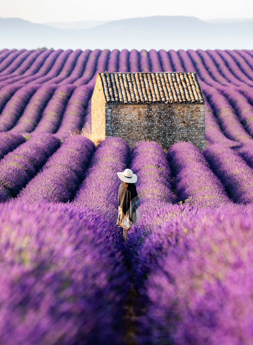 warrenhimself 🎟💚 tweet media