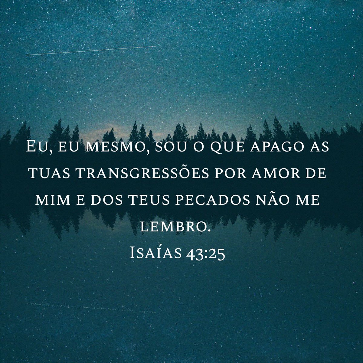 Ana Paula Rozeno tweet media
