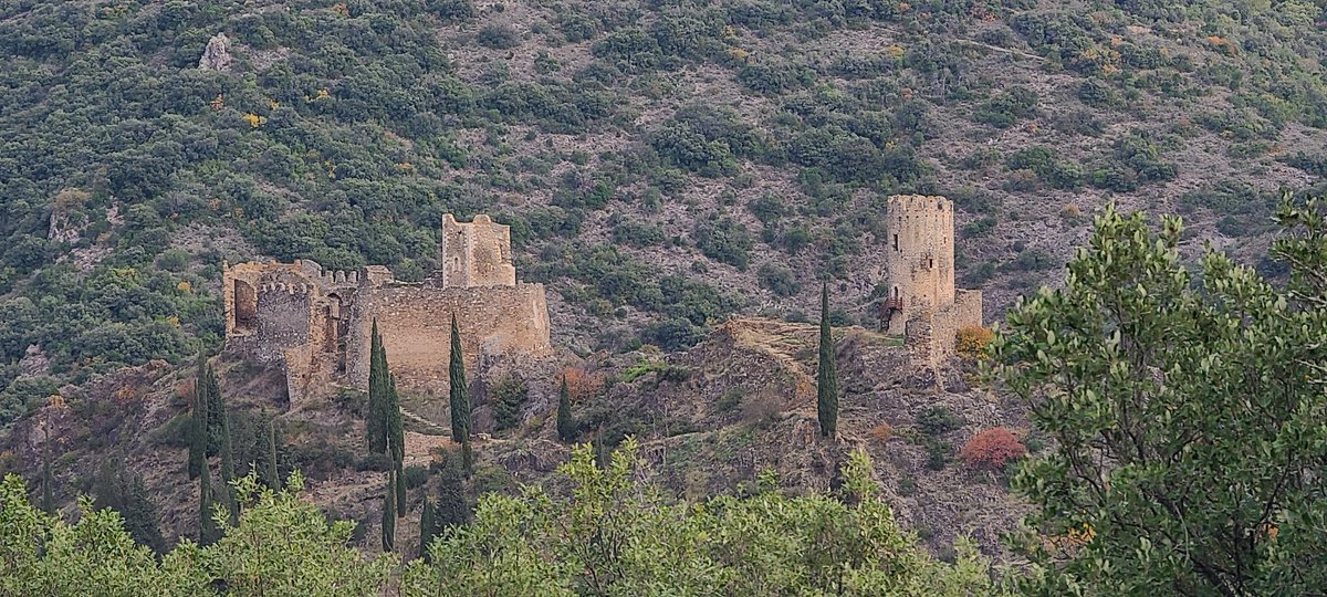 Sarah_in_USA's tweet photo. #Occitanie Taking the side roads back to #Toulouse via #Lastours Cathar Castles. There are 4 of them (in ruins), and only 3 are showing here. Next year, i'll hike. The amphiteather was closed... Next stop, #Montolieu A #BookTwitter landmark, called "Book Village" -village livre https://t.co/jYeNl5Oxay