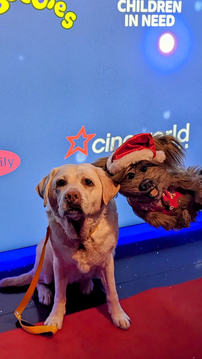 When you’re red carpet ready but someone can’t help but photobomb!

Repping the #DogSquad at the #CbeebiesPanto with my new bff Dodge!