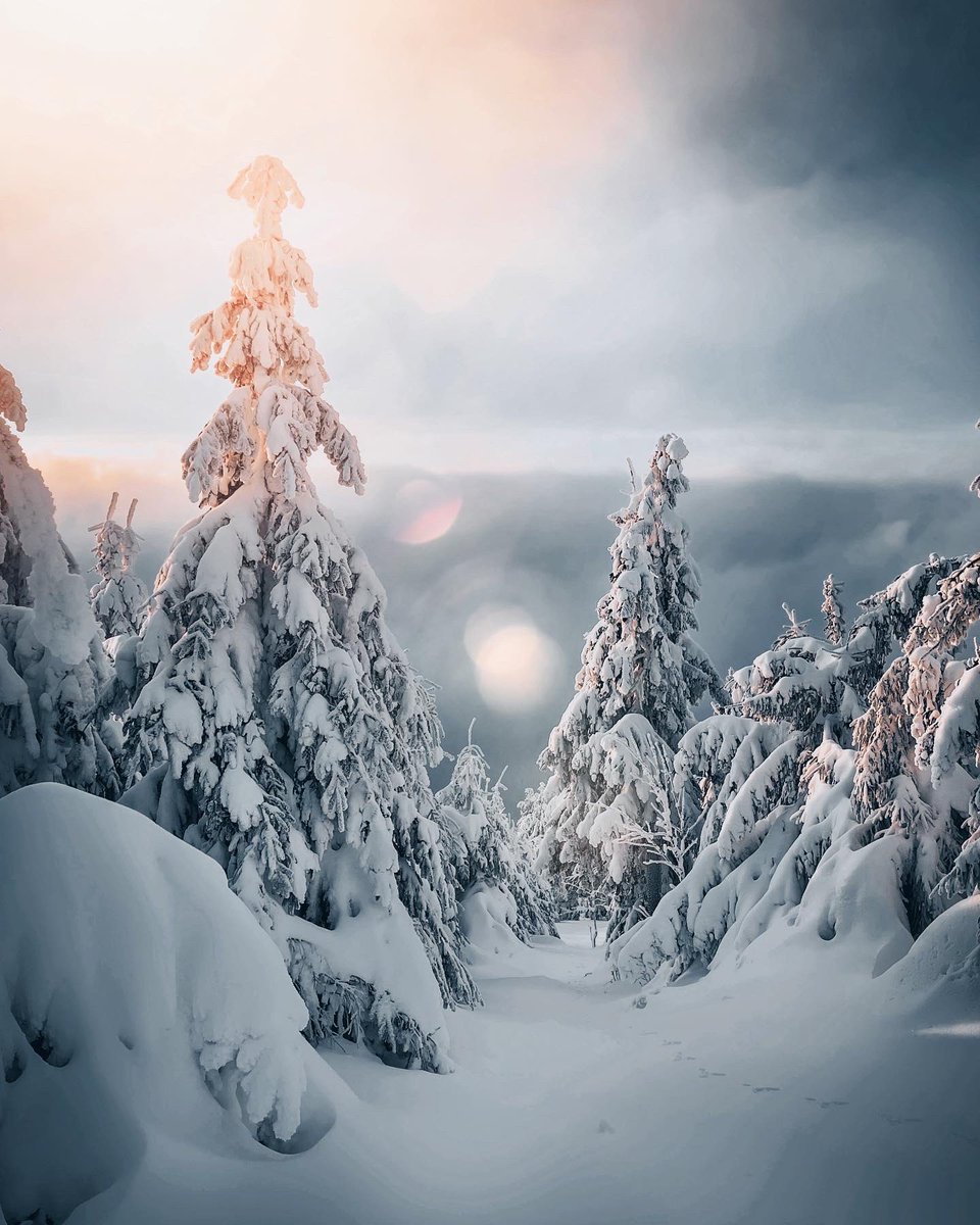 RosenfeldMandy's tweet photo. Gm! In Love with this 🤍❄️ https://t.co/RxtRe9gC5I