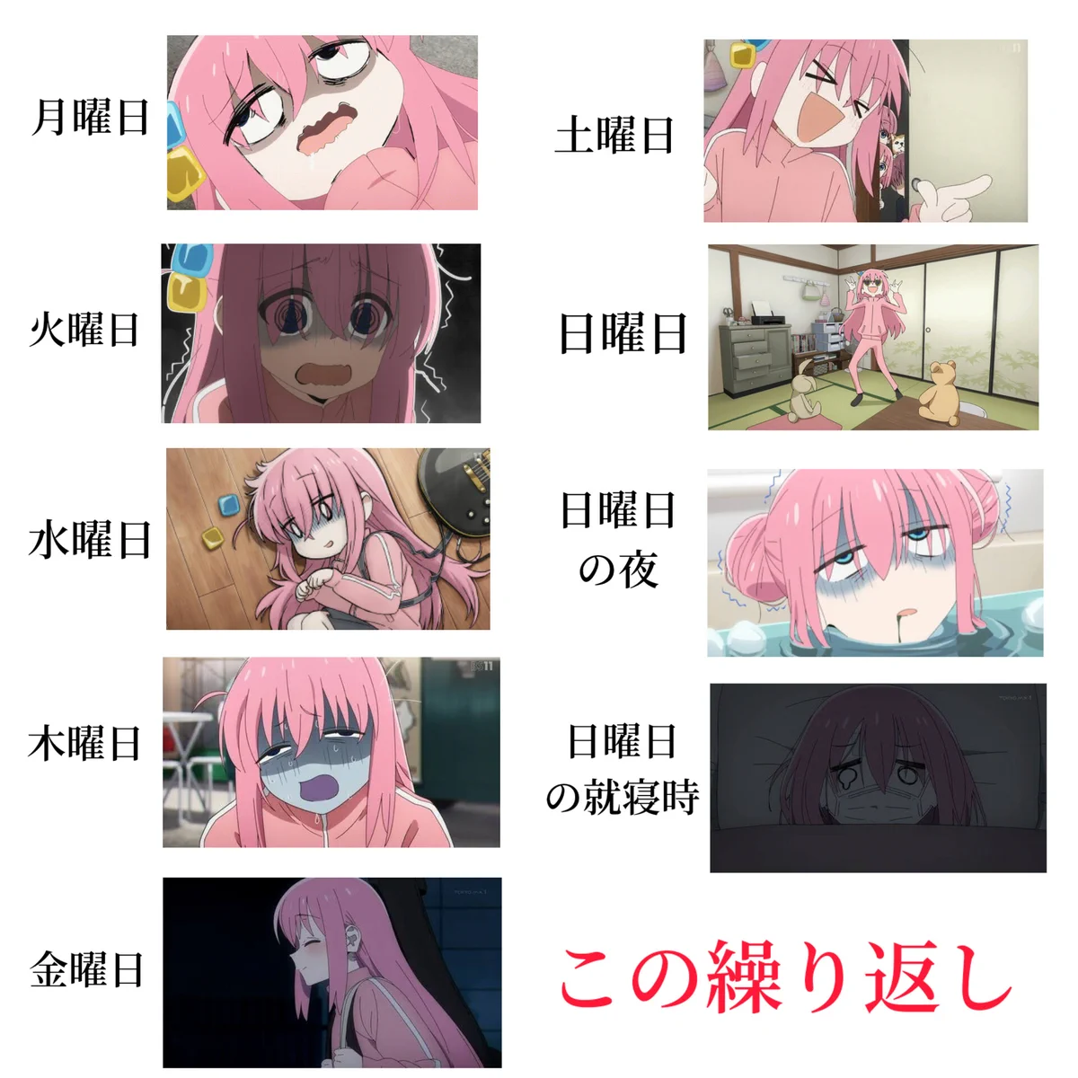みんなの1週間は大体このような感じではないだろうか⁉