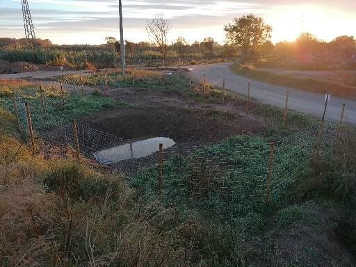 Les 1eres pluges (només 10mm) des de la creació de la bassa per a amfibis <a href="/Nat_MonT_/">Naturalistes del Montnegre i la Tordera</a> al delta de la Tordera <a href="/ajmalgrat/">Aj de Malgrat de Mar</a> deixen els terrenys ben xops i el primer entollament. Els propers dies la vegetació anirà germinant i reverdint el terreny.

L'evolució de l'espai en fotos...