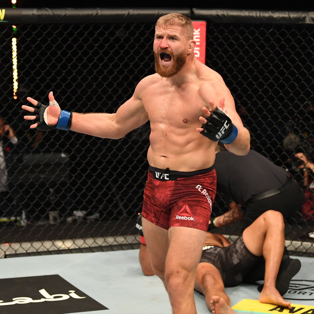 UFCEurope's tweet photo. 🇵🇱💥

LEGENDARY. POLISH. POWER! https://t.co/3iIaESEym8