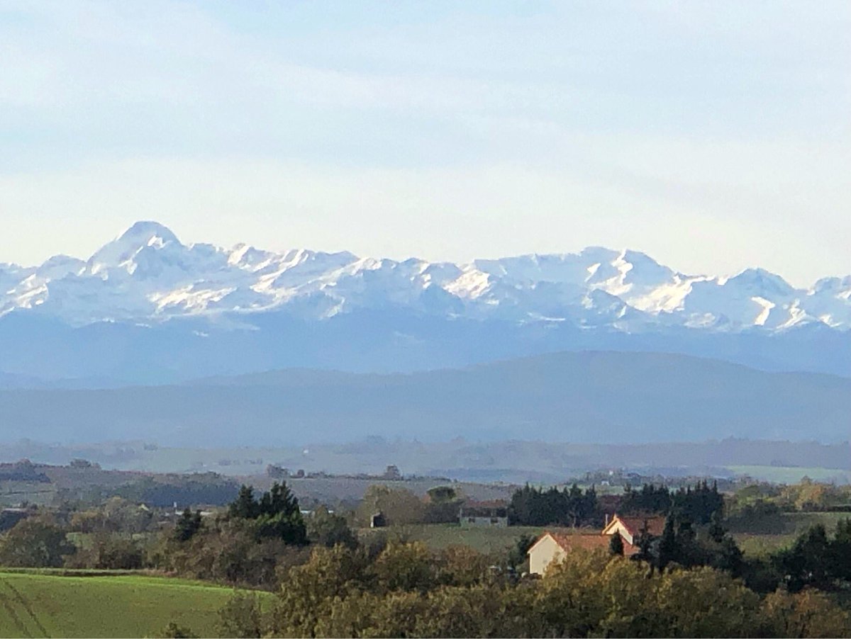 Cédric TORELLI tweet media