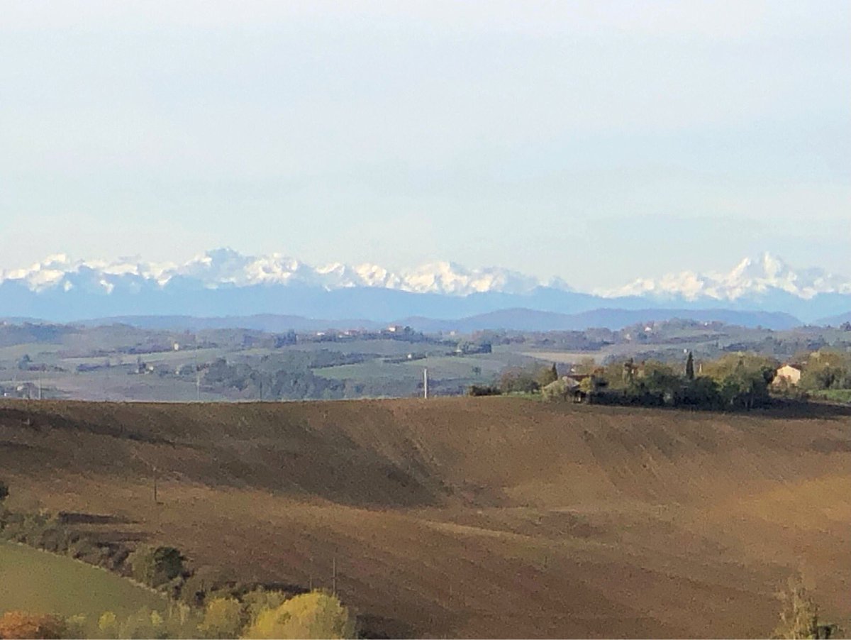 Cédric TORELLI tweet media