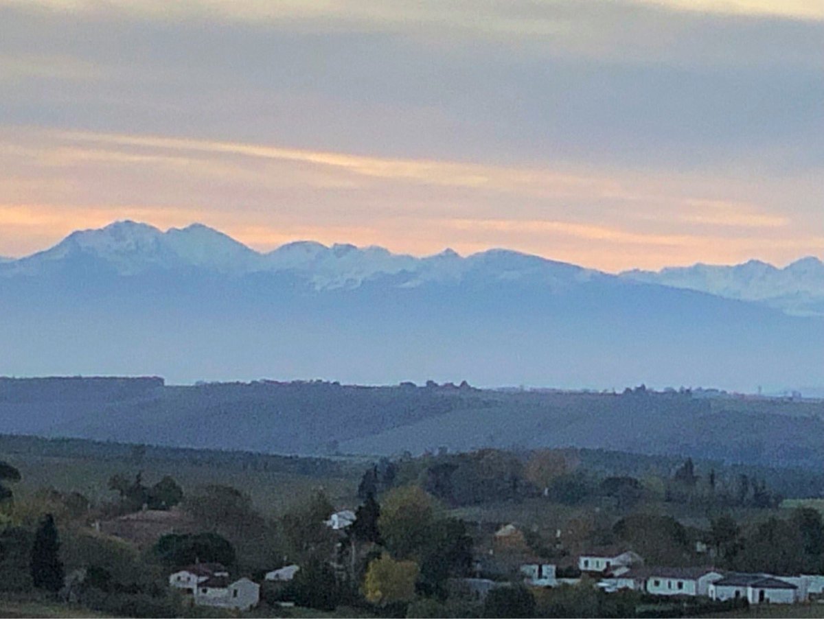 Cédric TORELLI tweet media