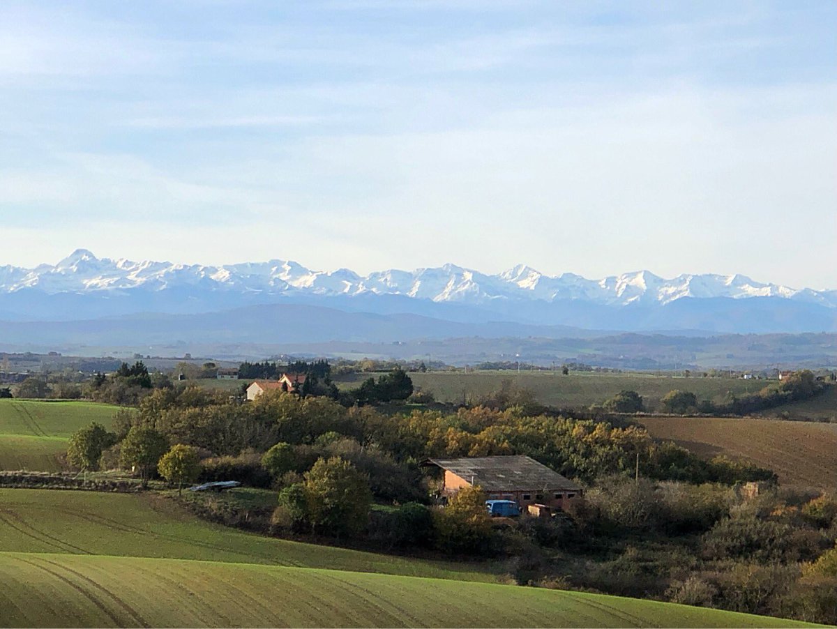 Cédric TORELLI tweet media