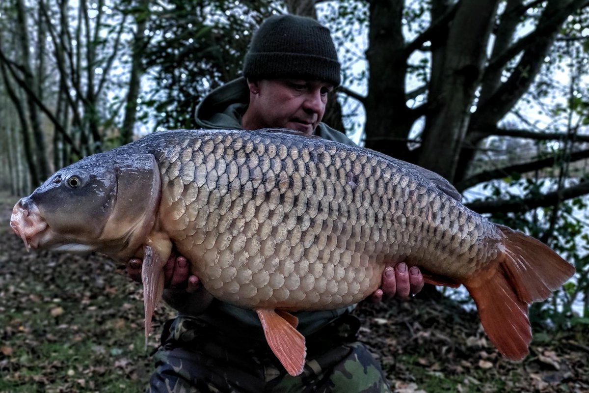 Nice 29lb common on monument 1