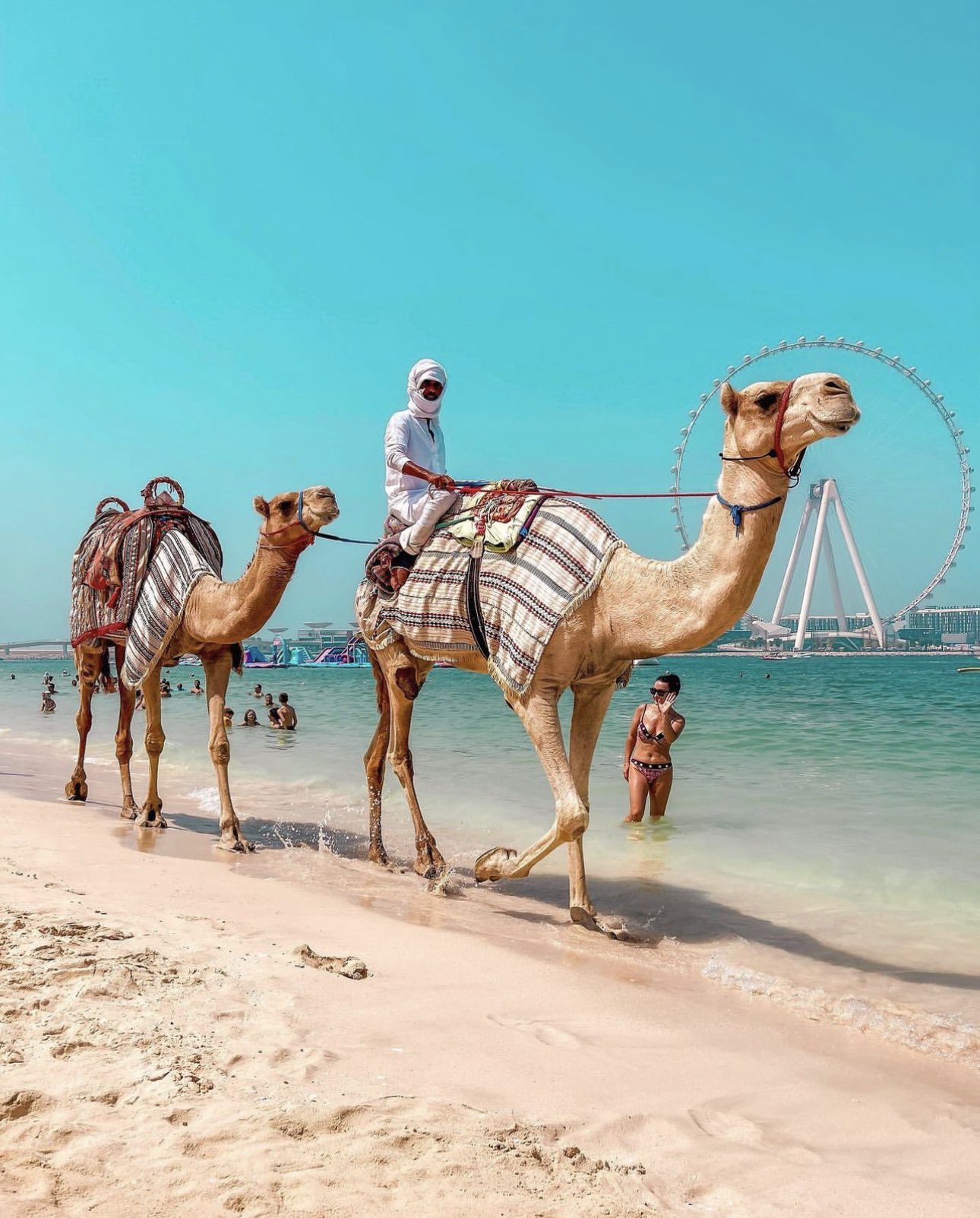 Eren KILICASLAN WinC On Twitter Habibi Ne Yap yorsun Https t co eren-kilicaslan-winc-on-twitter-habibi-ne-yap-yorsun-https-t-co