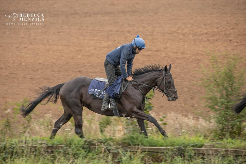 bofaracingclub's tweet photo. Christmas Freebie
We're giving a lucky follower the chance to win a share in our unraced filly Carrigeen Kochia by Yeats
@RebeccaEMenzies @ManageSyndicate 
https://t.co/SN3DIQajgL 
Just retweet this post &amp; follow our page to win, winner announced 6pm on Sunday 4th Dec https://t.co/4GTGeYDyJL