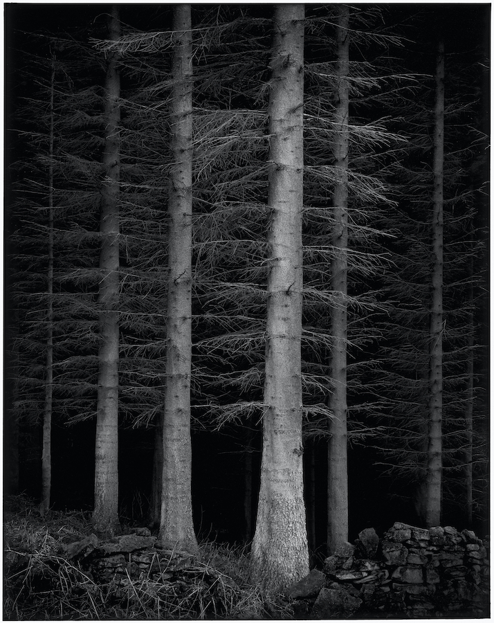 PAUL HART tweet media