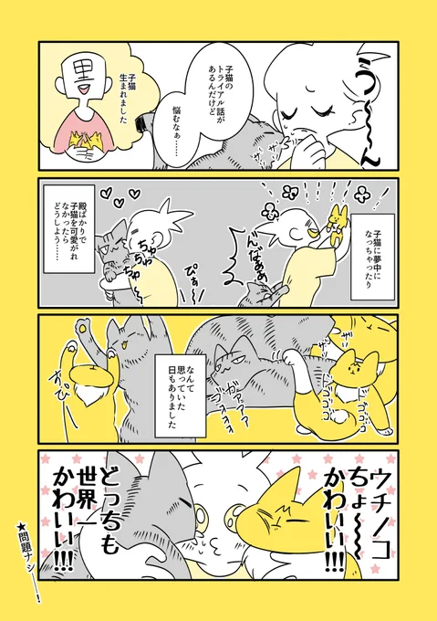 猫まんがまとめ
https://t.co/RlAz7TNWRn
#コミックエッセイ #漫画が読めるハッシュタグ 