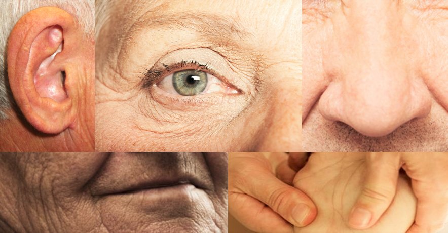 #TIPS - VOOR JUISTE BALANS IN ZINTUIGEN PRIKKELEN - Gezonde hersenen kunnen zich goed concentreren en nutteloze, ongewenste prikkels ‘wegwerken’. Mensen met dementie kunnen dat niet goed meer. Voor hen is het extra erg belangrijk om prikkels te reguleren. mailchi.mp/dementie-winke…