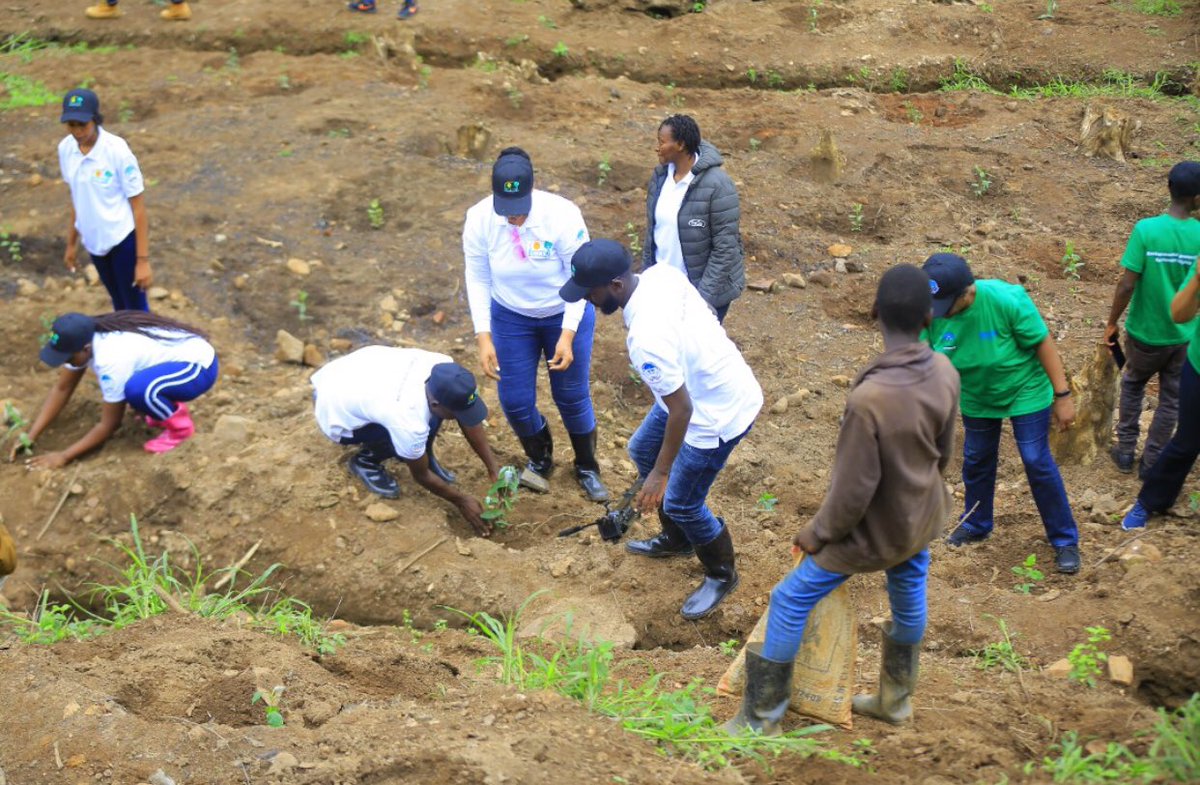 lutzDjenny's tweet image. Hand in hand Cooperation with Fonerwa , Green Gicumbi and the National commission for human rights in UMUGANDA with a vision of protecting our environment from Erosion by planting 12000 trees as we work towards Climate Justice @PACJA1 @RccdnRwanda @GreenGicumbi @EnvironmentRw