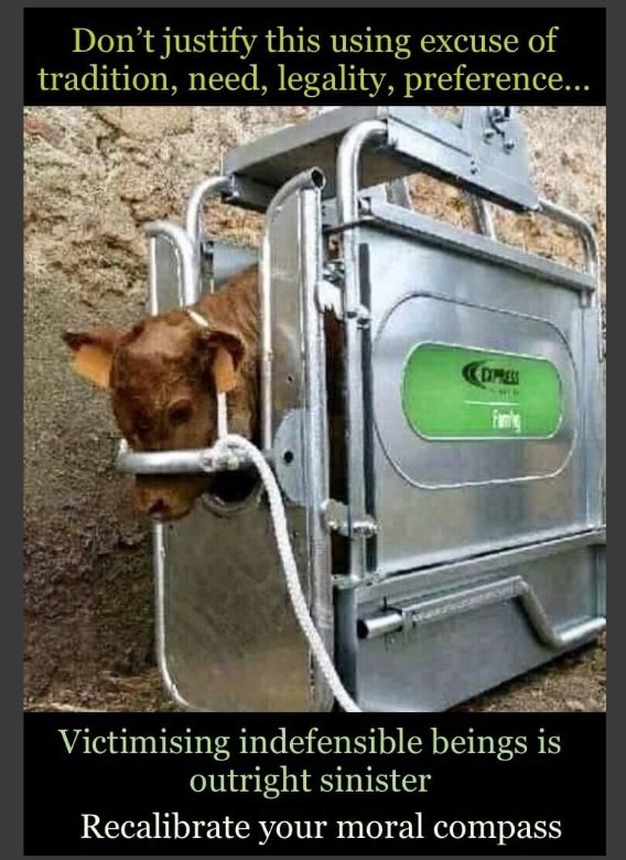 “To me, cruelty is the worst of human sins. Once we accept that a living creature has feelings and suffers pain, then by knowingly and deliberately inflicting suffering on that creature, we are guilty, whether it be human or animal.” - Jane Goodall