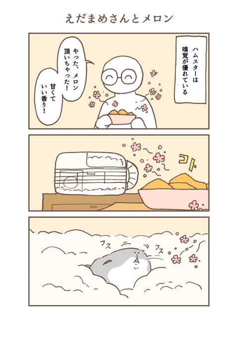 ハムスターとメロン
 #ハムスターのいる生活 