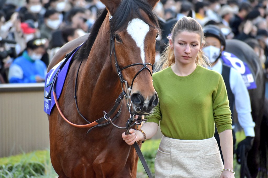 7Q339Tgja5b0jv3's tweet photo. フランスから来たグランドグローリー！中団からレースを進める最後の直線で上手く伸びて6着。これが引退レース！昨年話題になった噂の美人の厩務員さんも来てくれてありがとう
#グランドグローリー 
#GrandGlory
#マキシム・ギュイヨン
#MaximeGuyon
#ロンジン賞ジャパンカップ
#JapanCup
#東京競馬場 https://t.co/1oGZ7sy3fs