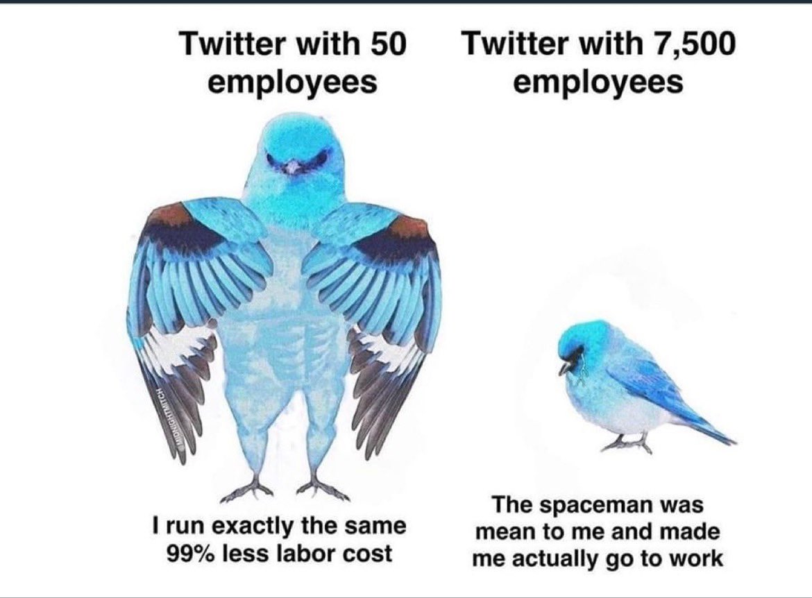 mrjohnsingh's tweet photo. Average #twitter staff pre-acquisition by Musk worked 15 min a day, Average $146,000/yr salary. Removing all that dead wood, Musk only needs 300 staff to work full time to do the same amount of work that 9600 slacker pre-Musk employees did saving the company $4.5B per year, 👏 https://t.co/YmBlLqHmrX
