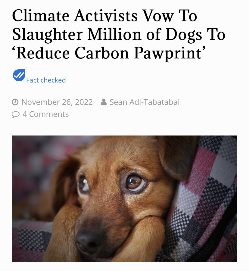 AskMeLaterOn's tweet image. Climate activists are now calling for millions of dogs worldwide to be slaughtered in an effort to reduce the “carbon pawprint” they produce as a result of eating meat…