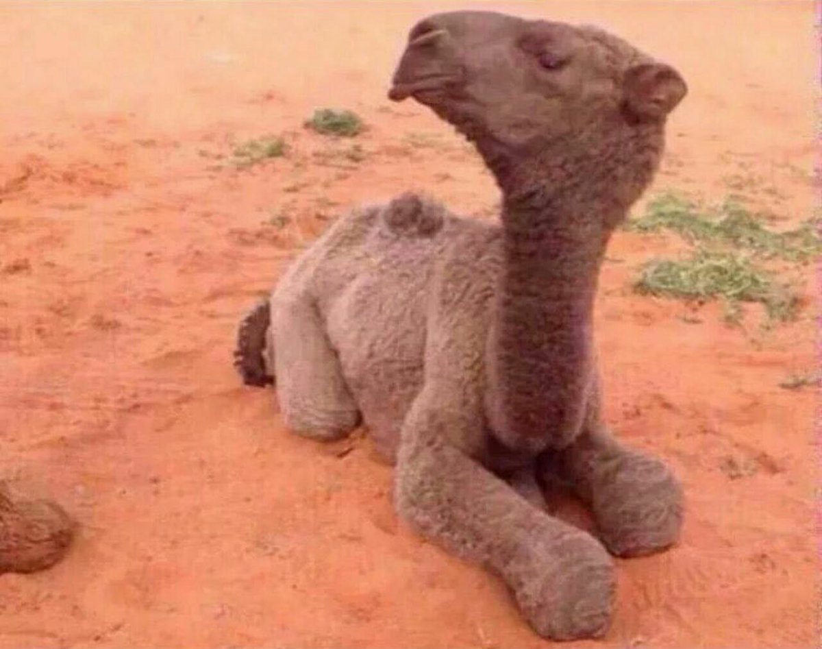 الوقت tweet media