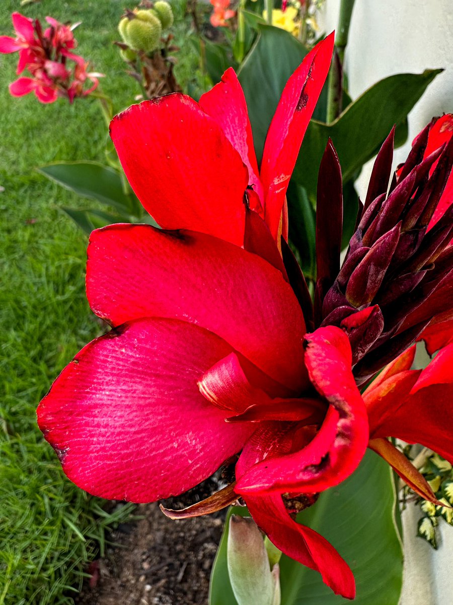 Ulrich Janse van Vuuren on Twitter: 