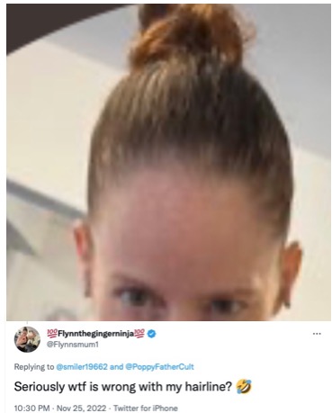 LibsTheGingerMinge tweet media