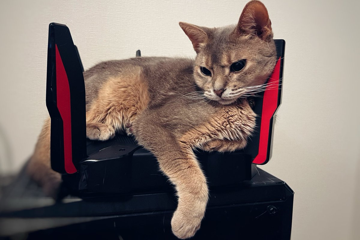gracecat14's tweet photo. 毎日毎日をきっぱりと終了せよ。あなたは全力を尽くしたのだから。Finish each day and be done with it. You have done what you could.---Ralph Waldo Emerson （エマーソン）#今週もお疲れ様でした　#今日の名言　#猫好きさんと繋がりたい　#猫のいる暮らし　#catphoto https://t.co/f0By2ydV0d